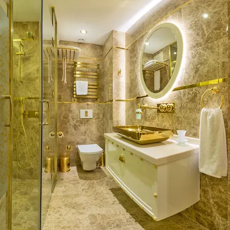 特殊类别百万石酒店 酒店