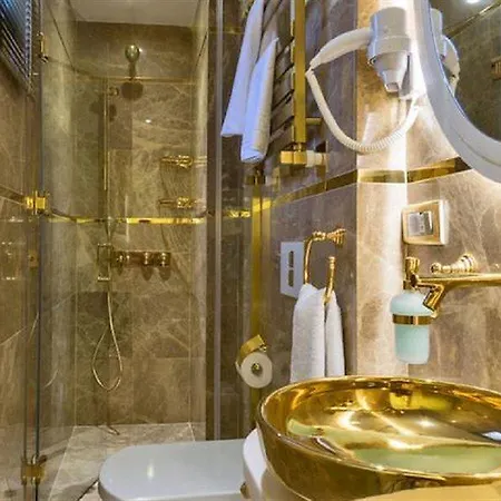 特殊类别百万石酒店 伊斯坦布尔